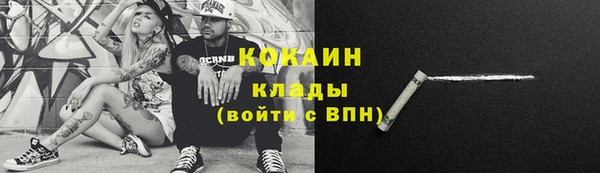 мдпв Майский