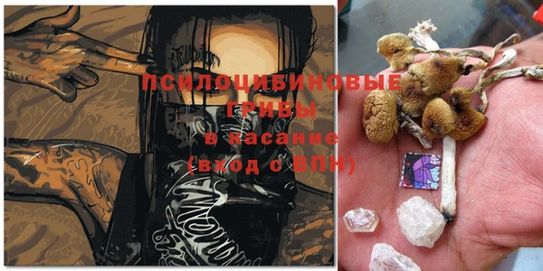 ECSTASY Лиски