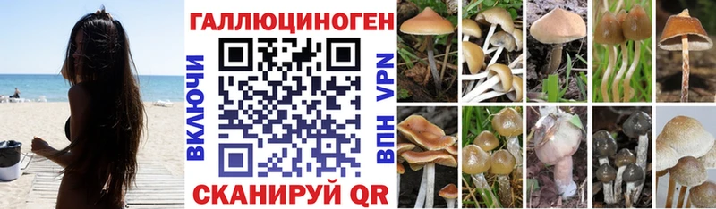 Галлюциногенные грибы MAGIC MUSHROOMS  Куртамыш 